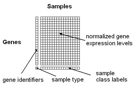 gene expression 
               matrix
